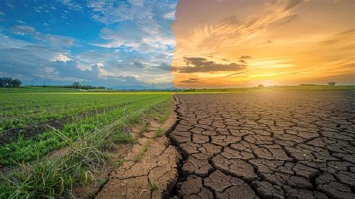 A Journey Into Climate Action